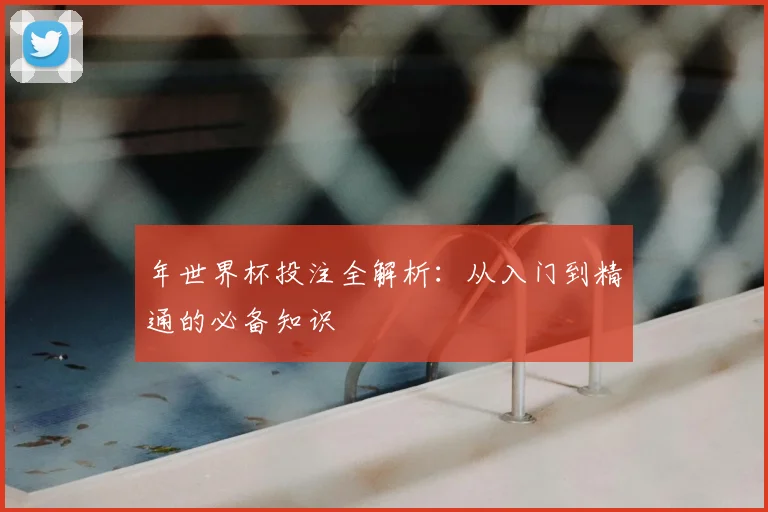 年世界杯投注全解析：从入门到精通的必备知识