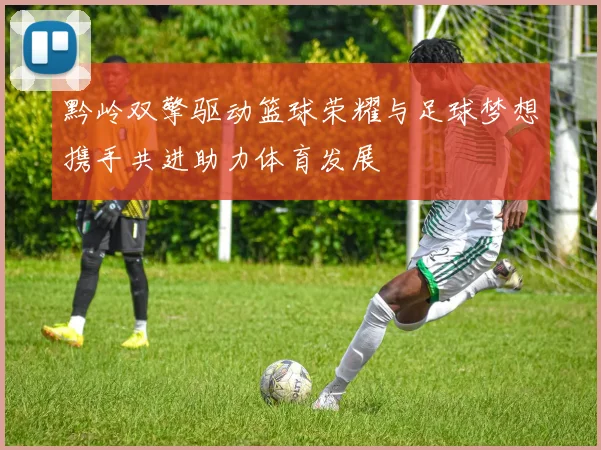黔岭双擎驱动篮球荣耀与足球梦想携手共进助力体育发展