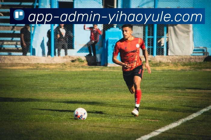 壹号娱乐APP服务体系